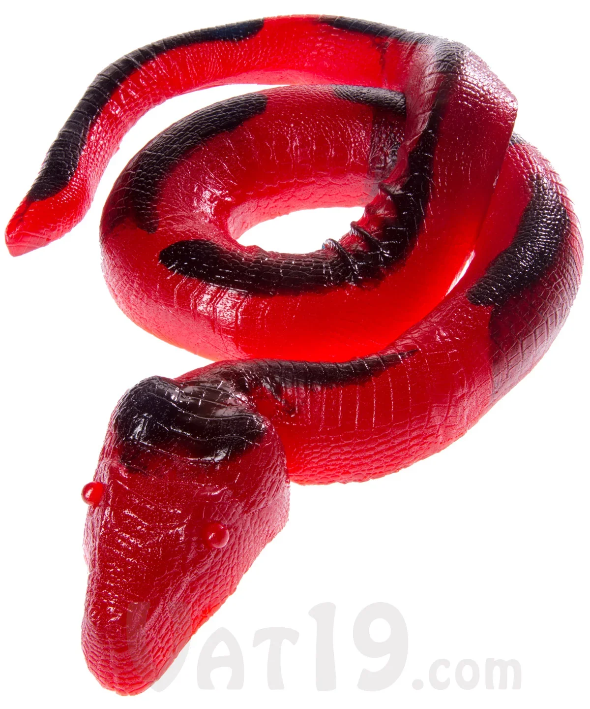 26-Pound Gummy Python - Image 10