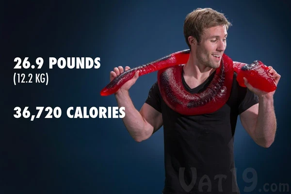 26-Pound Gummy Python - Image 4
