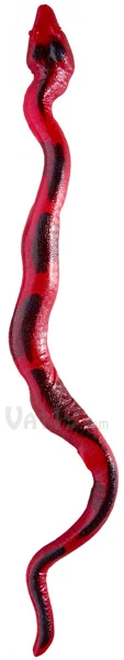 26-Pound Gummy Python - Image 8