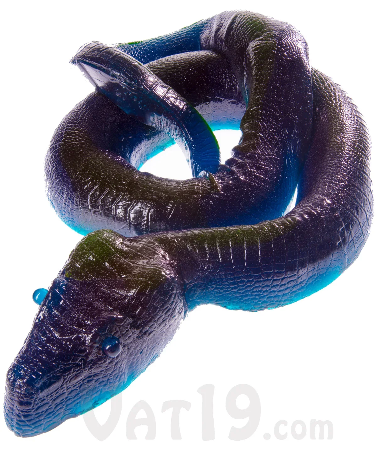 26-Pound Gummy Python - Image 9