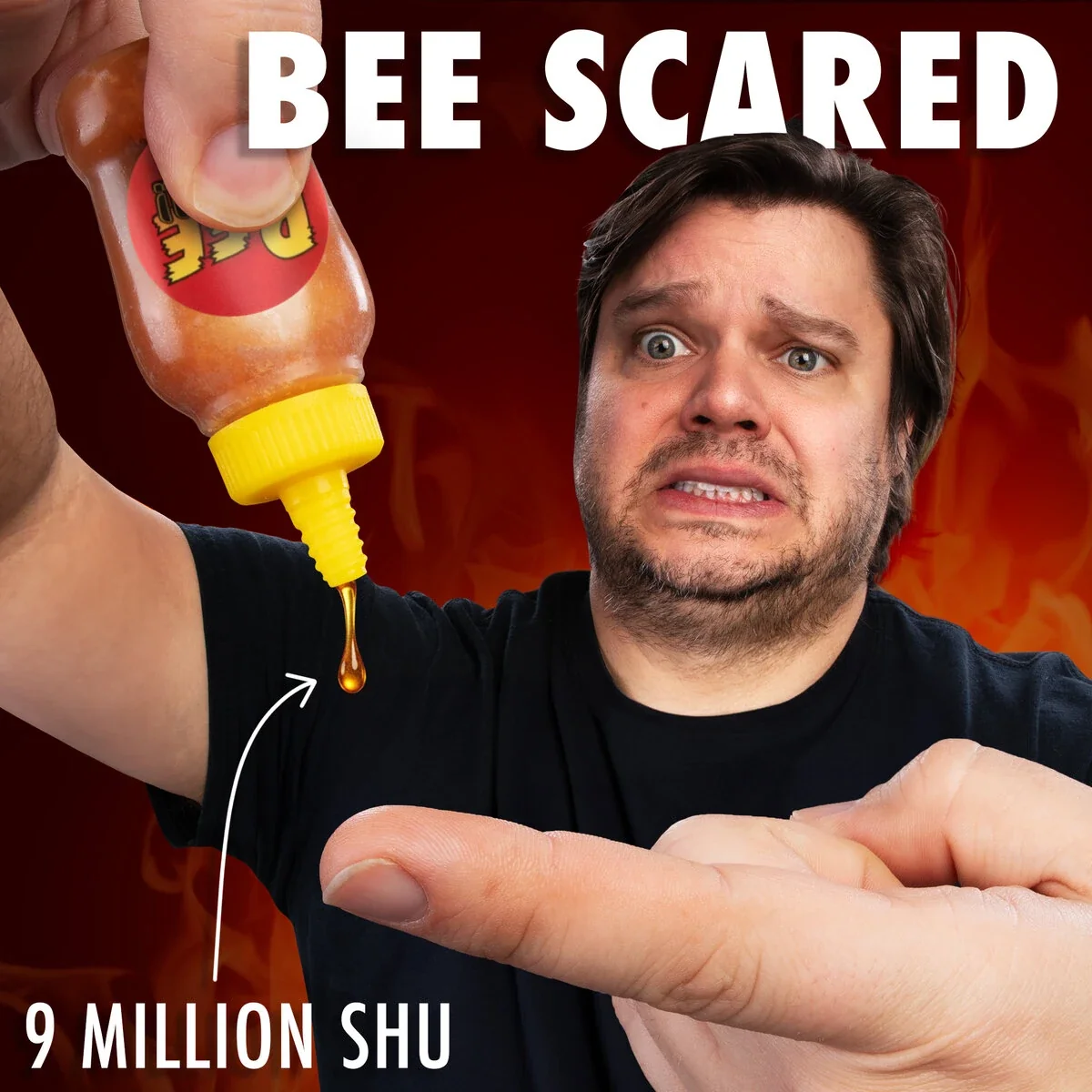 Bee Afraid - Image 2