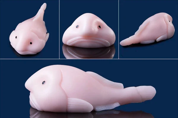Blobfish Squishy - Image 10