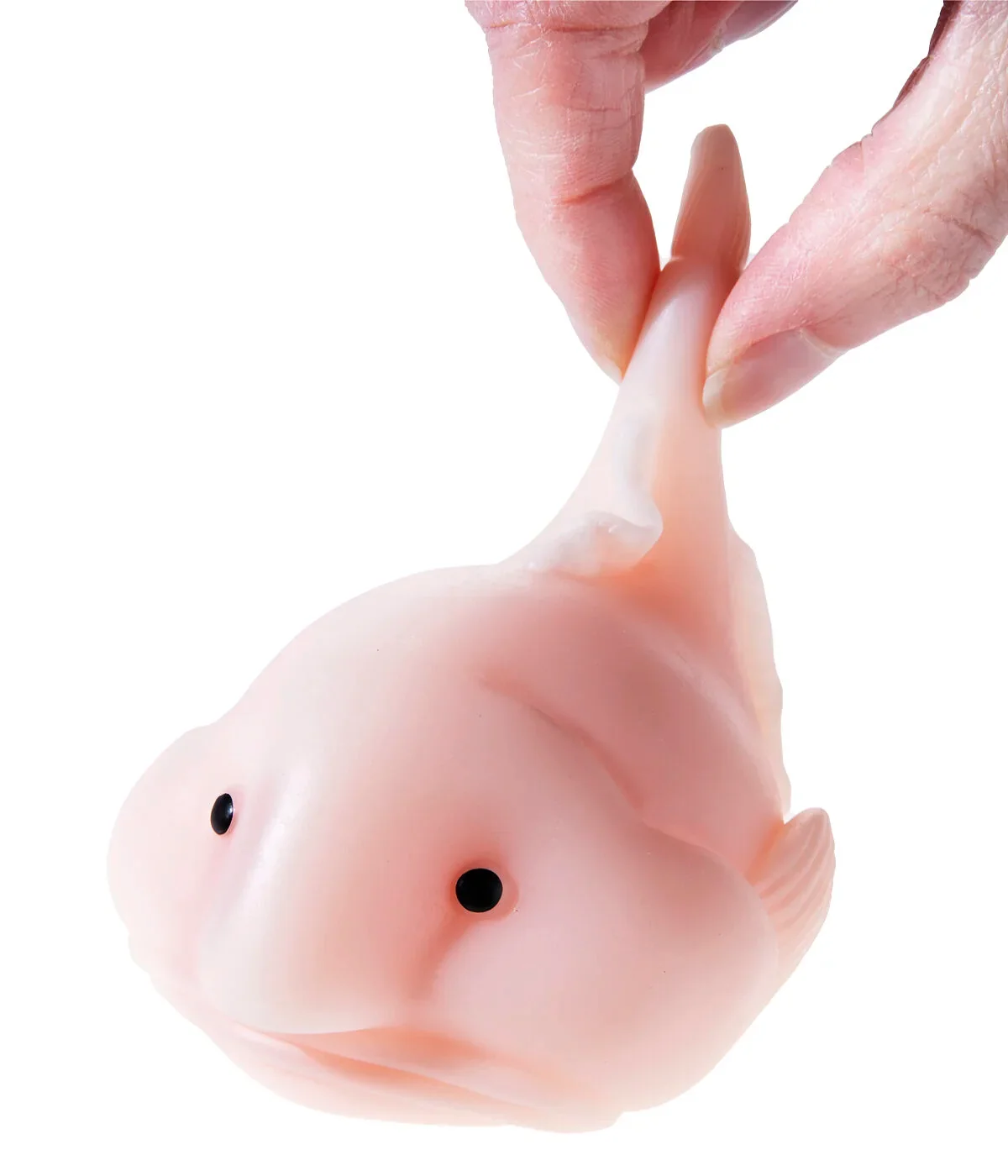 Blobfish Squishy - Image 11