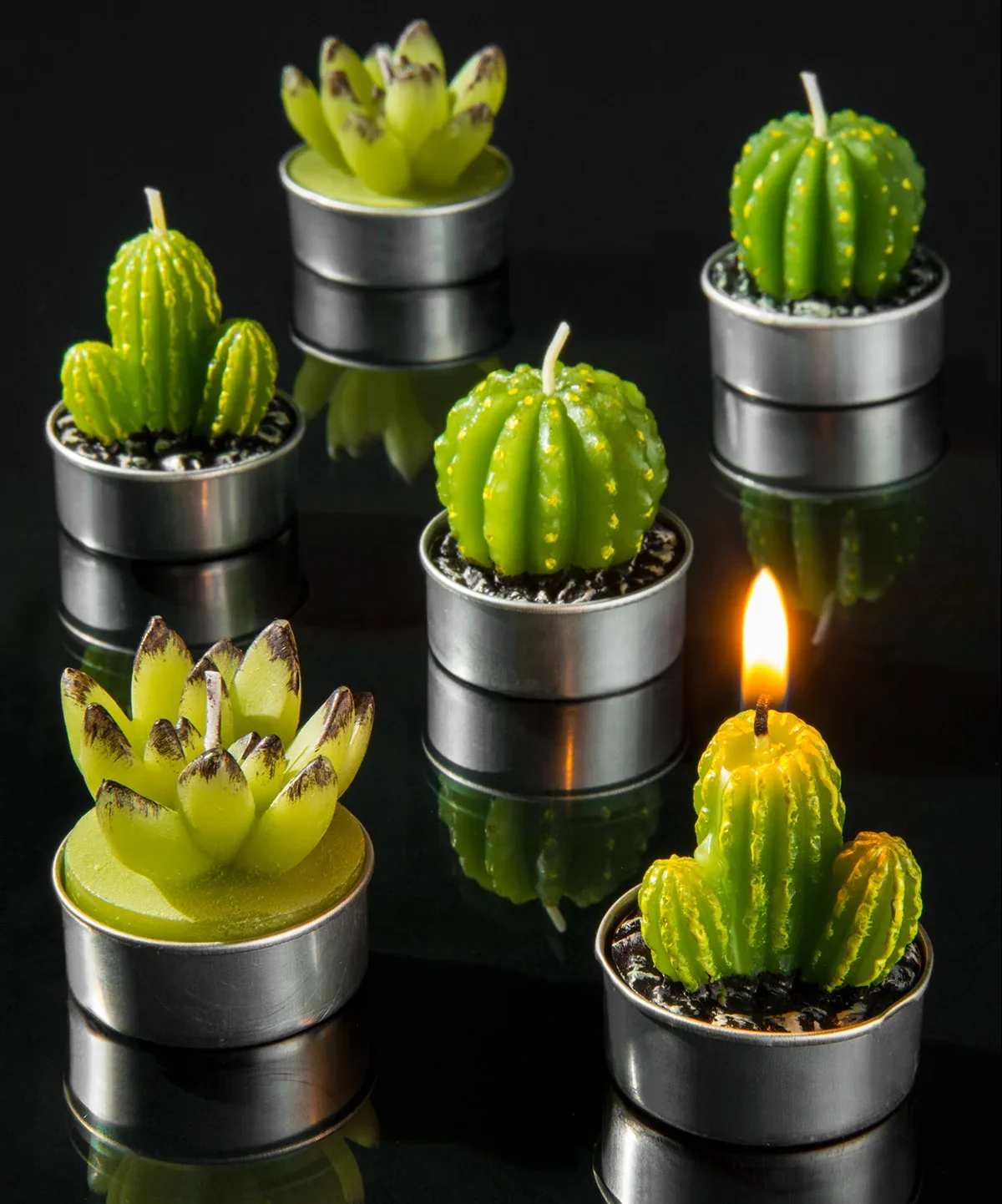 Cactus Tea Light Set