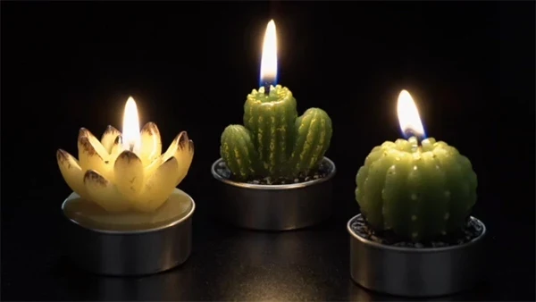 Cactus Tea Light Set - Image 2