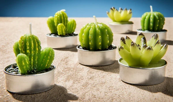 Cactus Tea Light Set - Image 3
