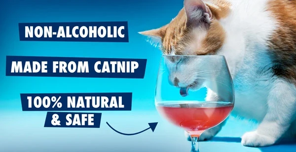 Cat Wine - Image 3