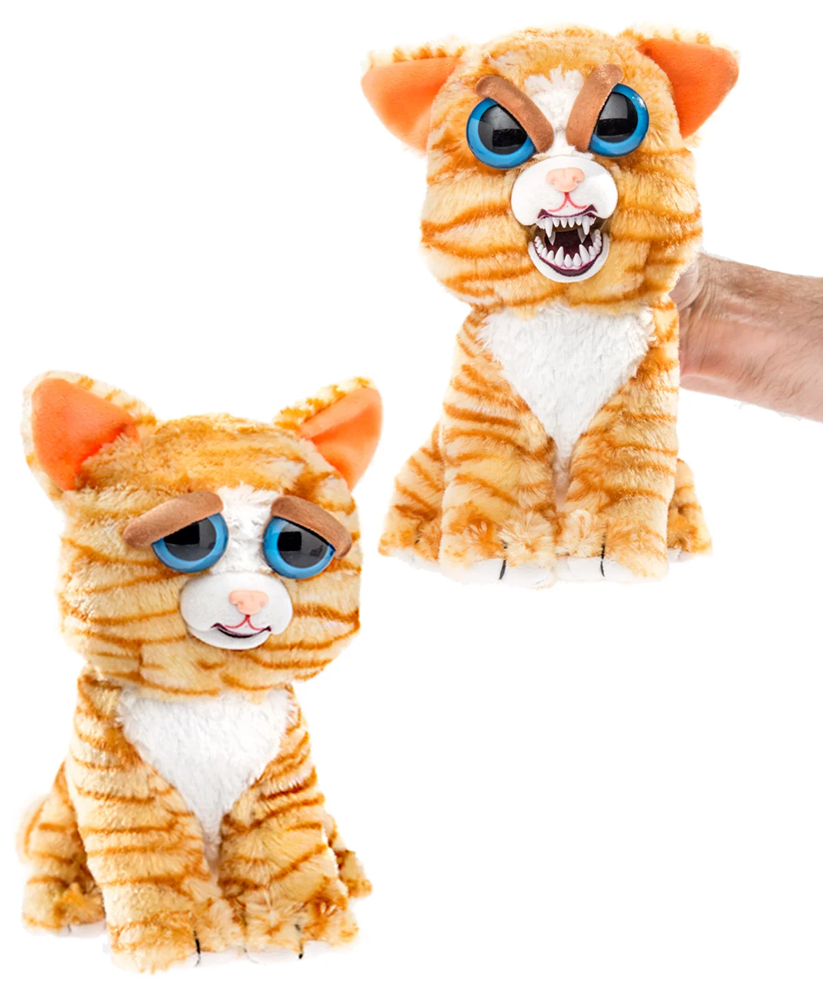 Feisty Pets - Image 7