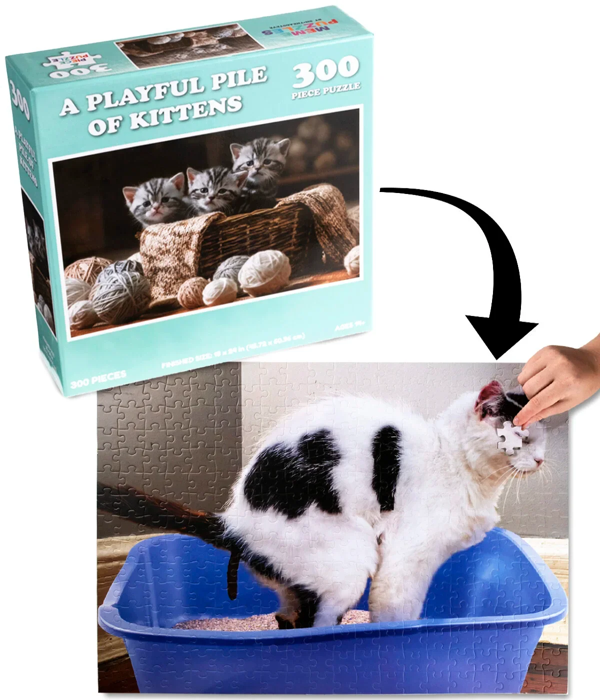Gag Gift Puzzles