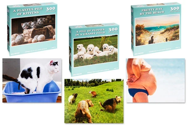 Gag Gift Puzzles - Image 6