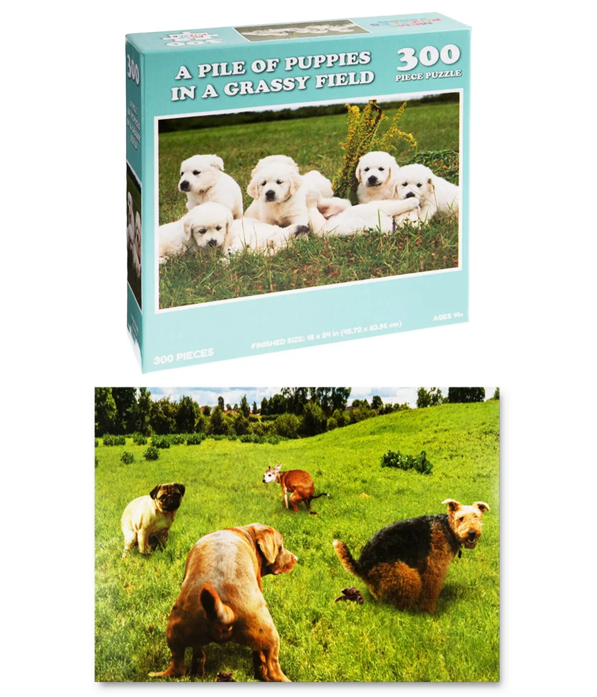 Gag Gift Puzzles - Image 7