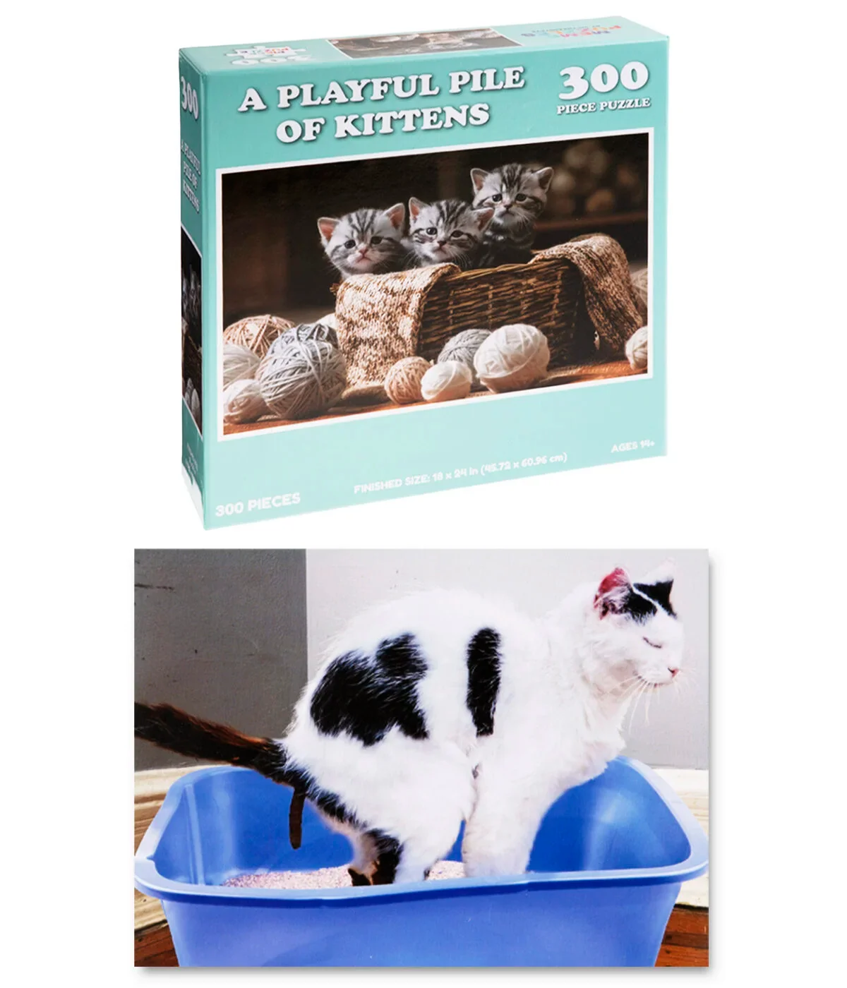 Gag Gift Puzzles - Image 9