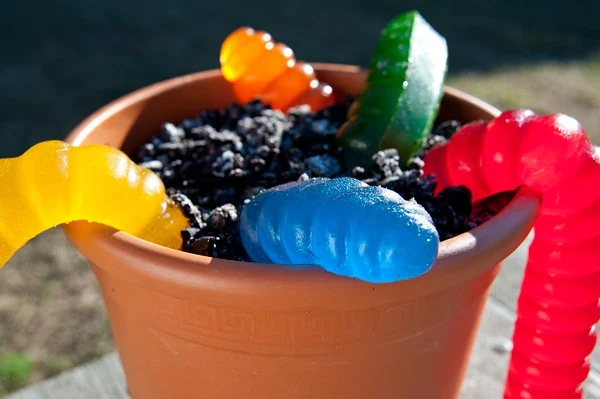 Giant 3-Pound Gummy Worm - Image 7