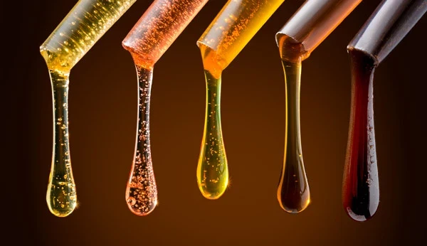 Glorybee Honey Stix - Image 3