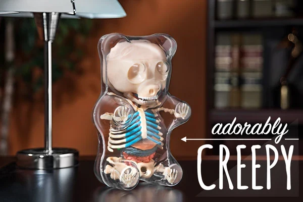 Gummy Bear Anatomy Model - Image 2