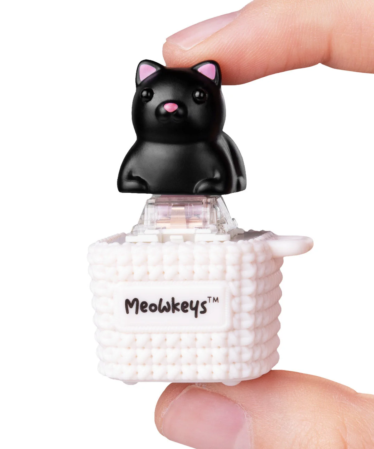 MeowKey - Image 8