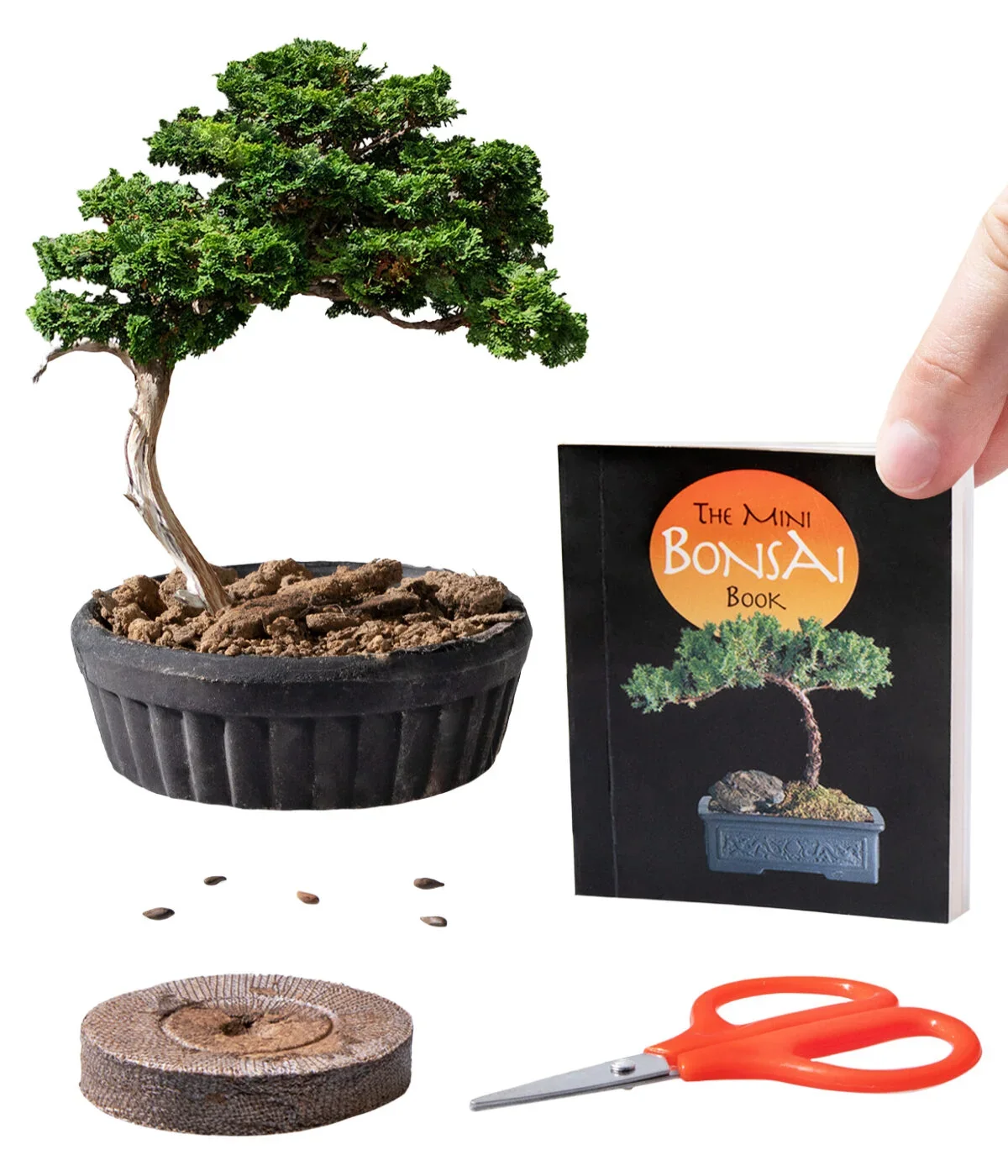 Mini Bonsai Kit - Image 3