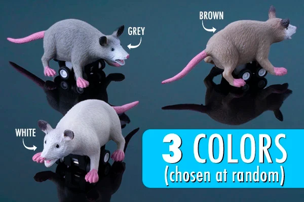 Racing Possums - Image 2