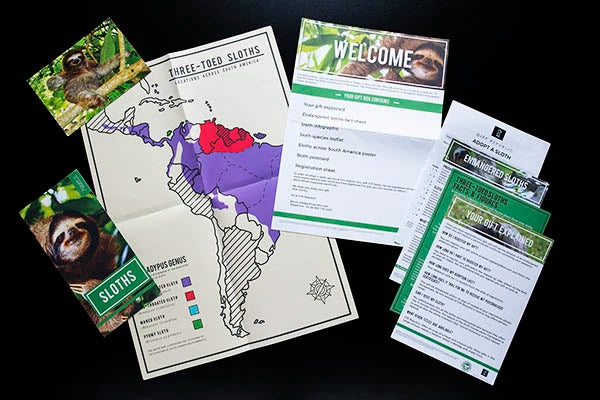 Sloth Adoption Kit - Image 2
