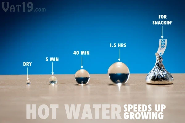 Spitballs - Image 3