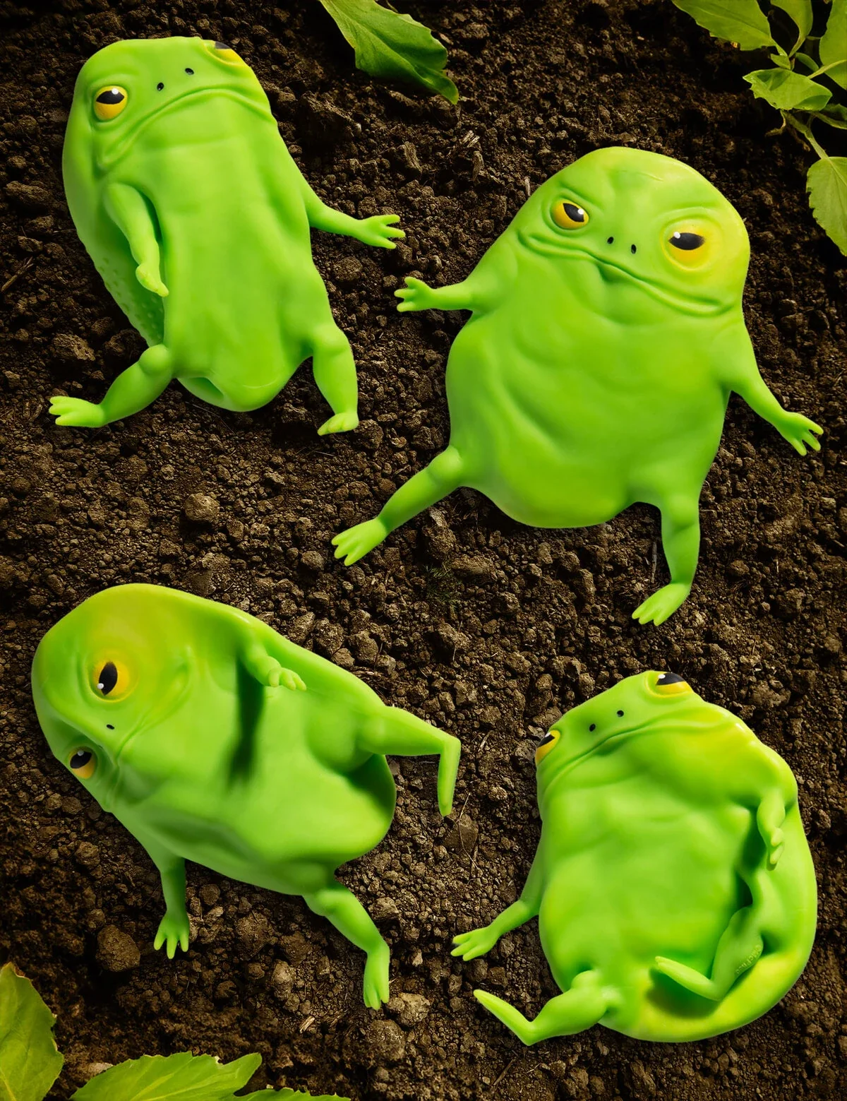 Splat Frog - Image 3