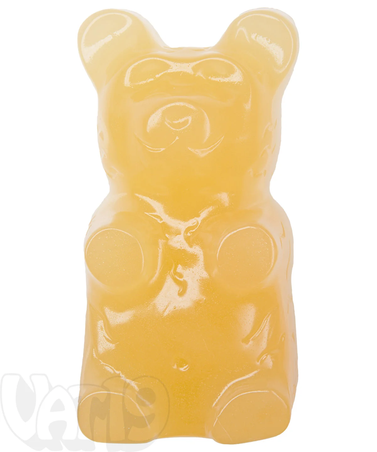 The Giant 5-Pound Gummy Bear - Image 11