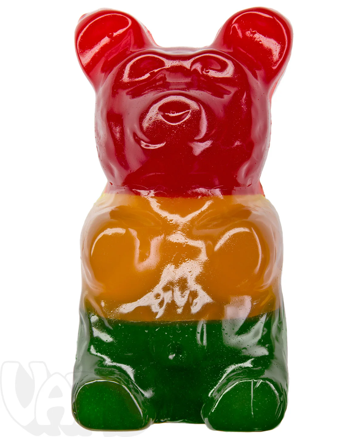 The Giant 5-Pound Gummy Bear - Image 12