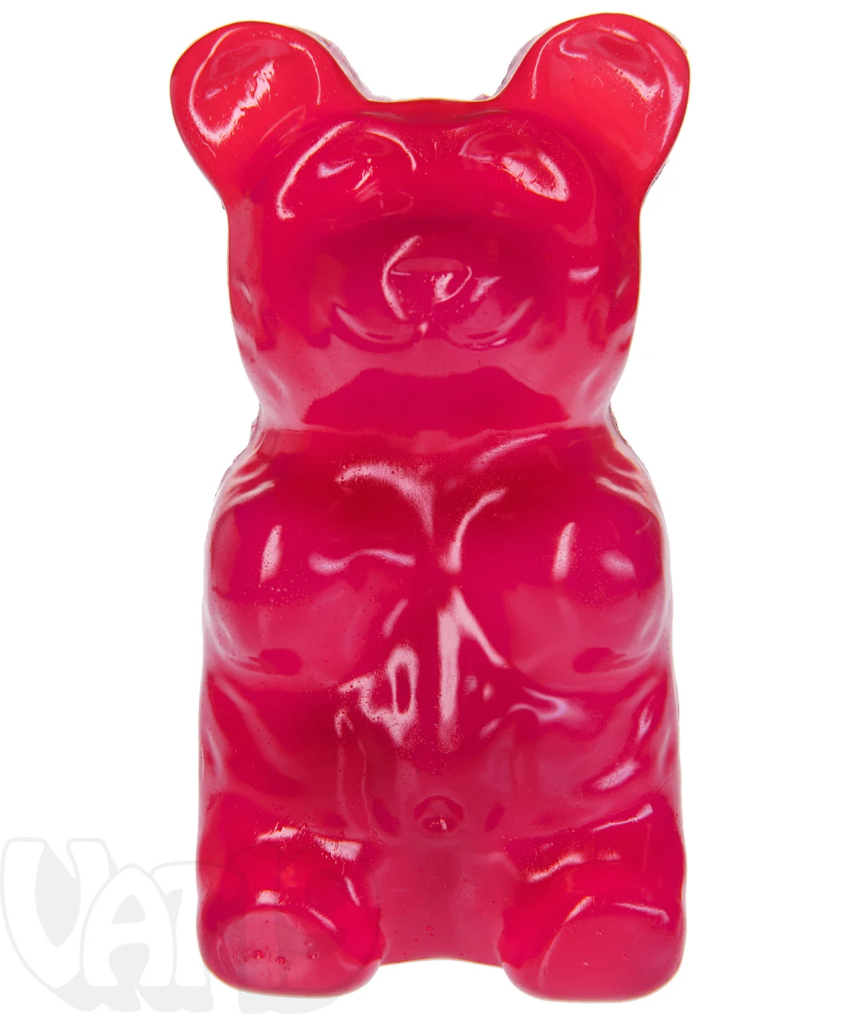 The Giant 5-Pound Gummy Bear - Image 13