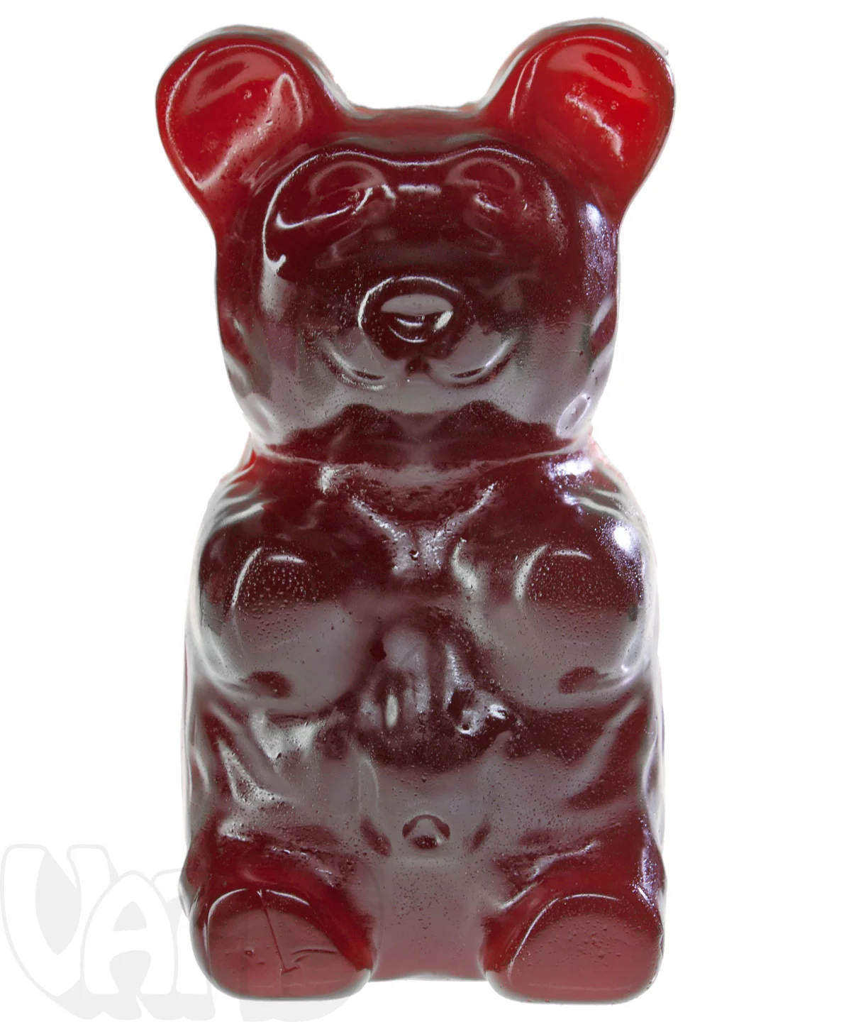 The Giant 5-Pound Gummy Bear - Image 14