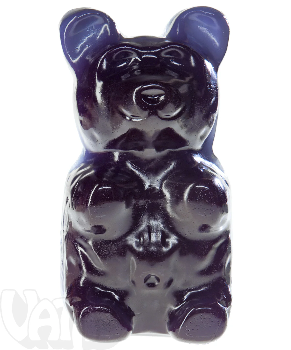 The Giant 5-Pound Gummy Bear - Image 15