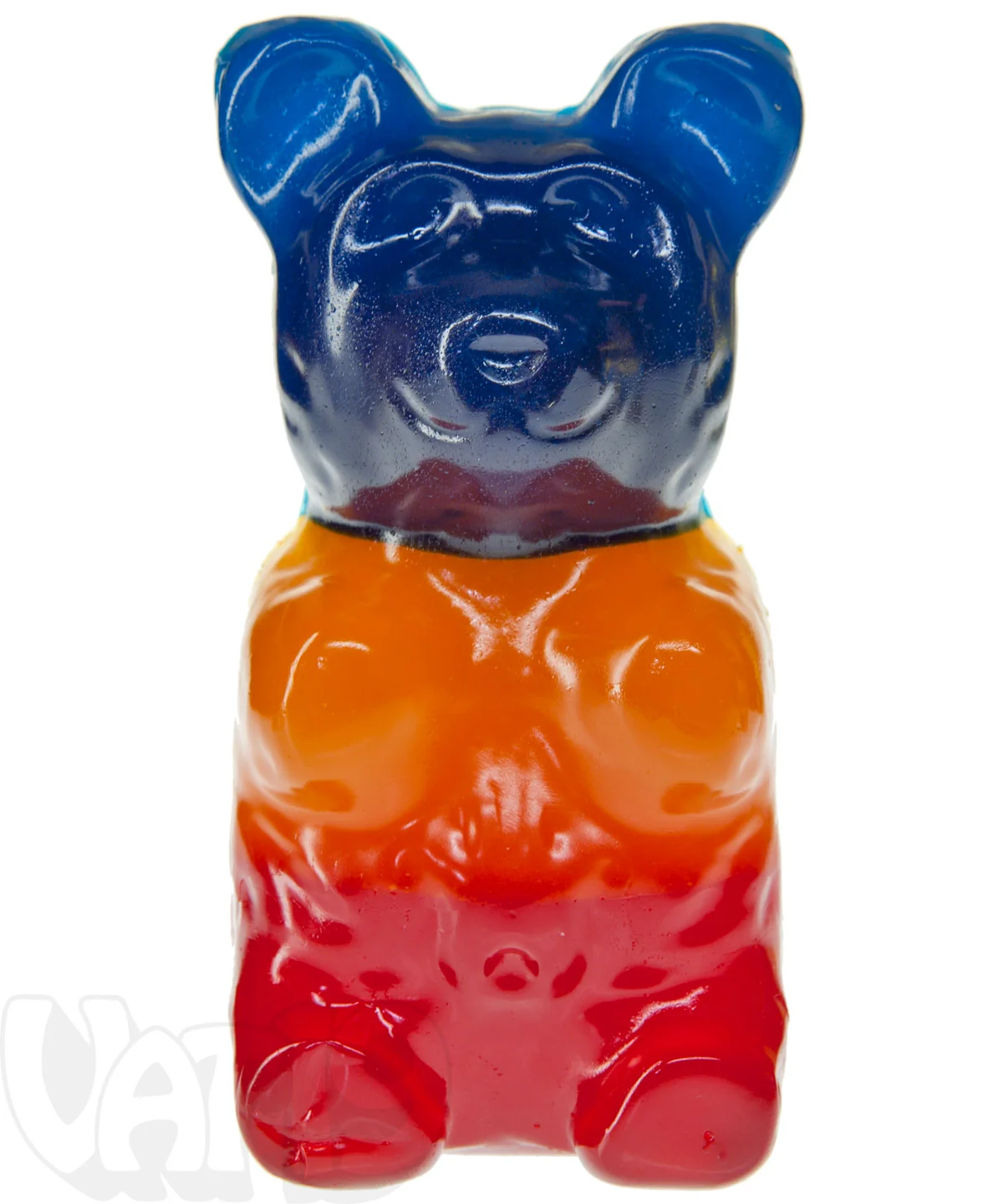 The Giant 5-Pound Gummy Bear - Image 16