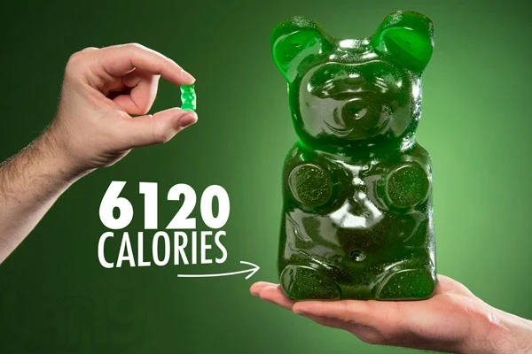 The Giant 5-Pound Gummy Bear - Image 3