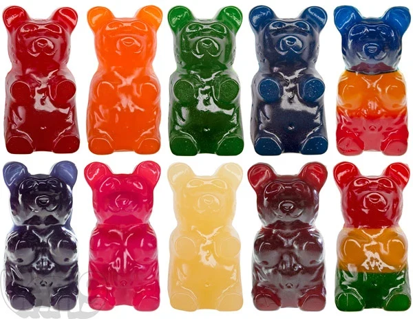 The Giant 5-Pound Gummy Bear - Image 6