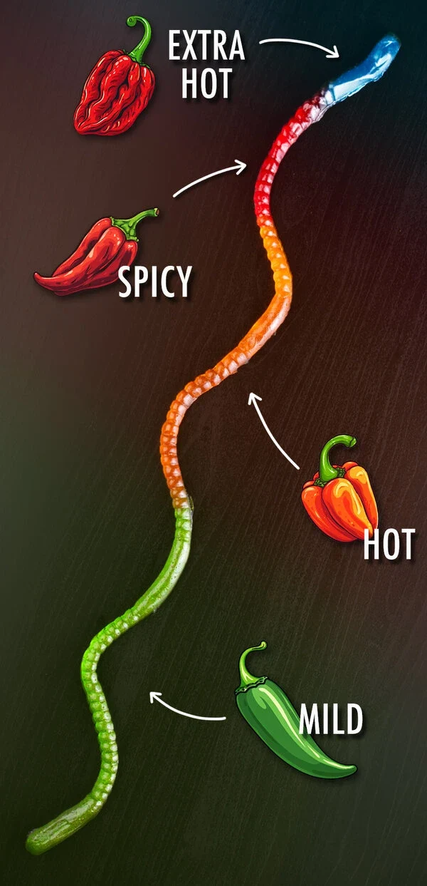 The Gummy Fireworm™ - Image 3