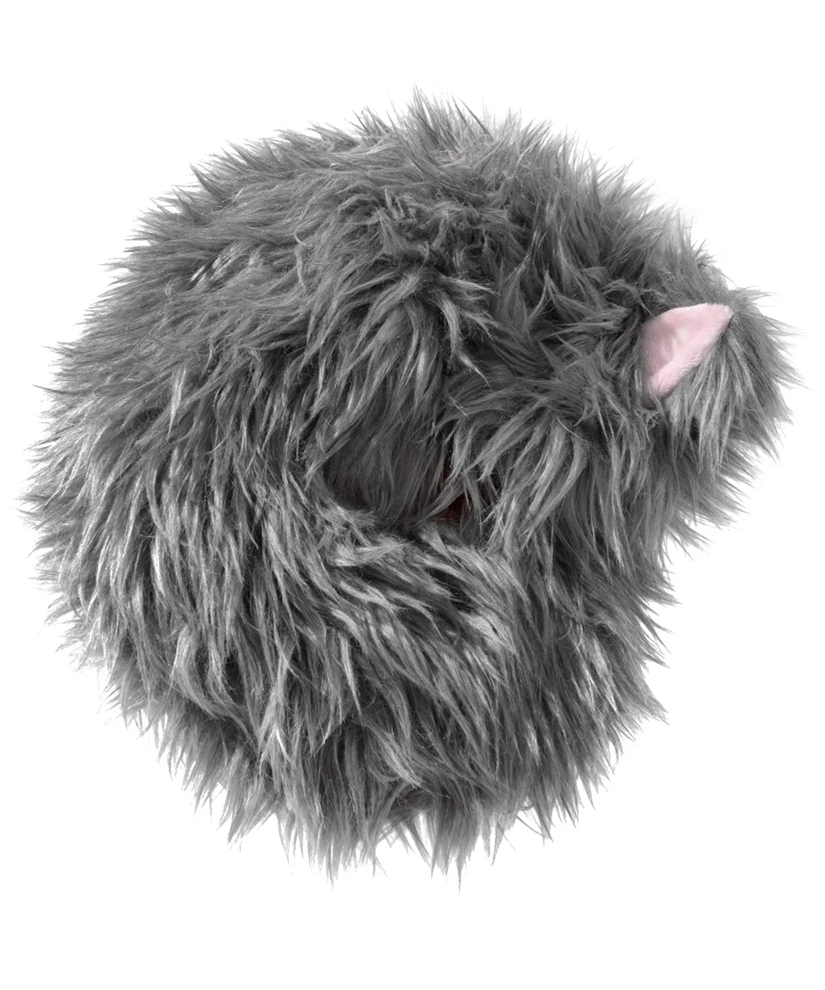 The Not-a-Cat Cat - Image 8