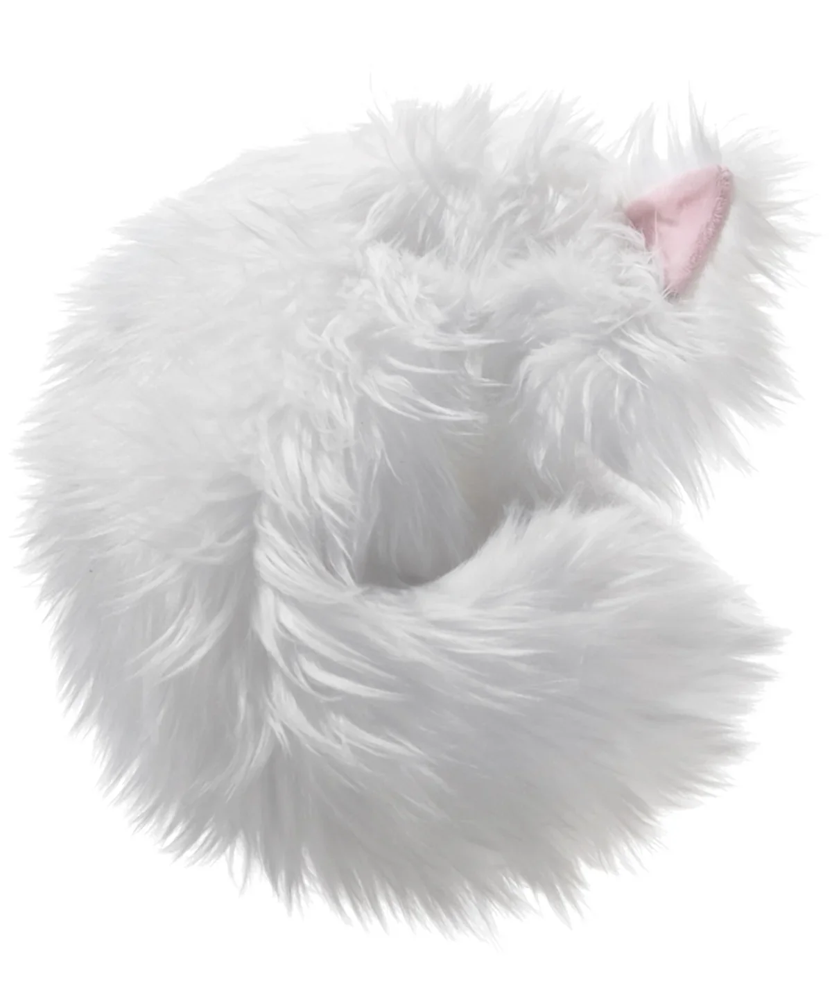 The Not-a-Cat Cat - Image 9