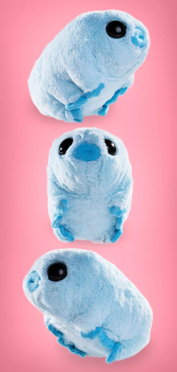 Water Bear Plush Toy - Image 3