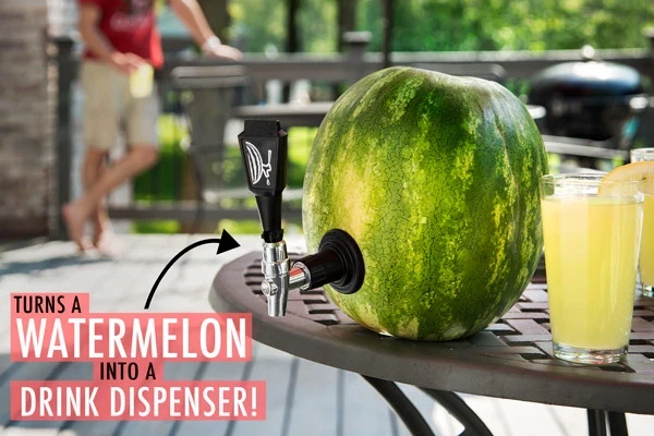 Watermelon Keg Kit - Image 2