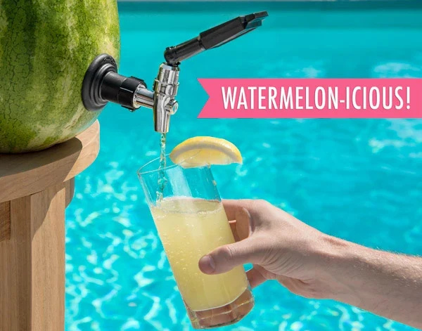 Watermelon Keg Kit - Image 4