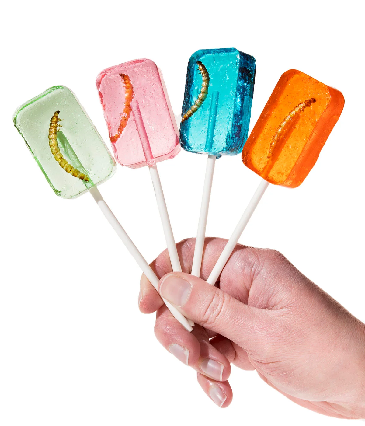 Worm Suckers